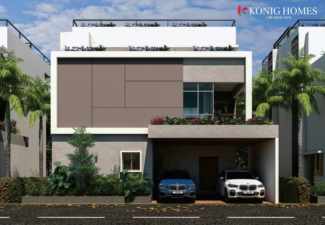Konig Fortune County Budigere Cross