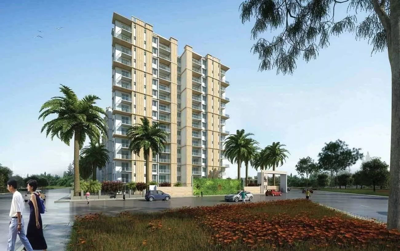 Prestige Pine Wood rent