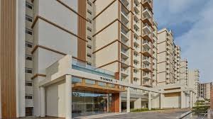 Prestige Pine Wood rent