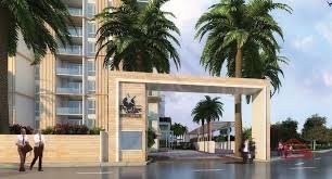 Prestige Pine Wood rent