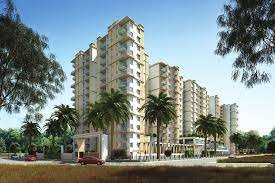 Prestige Pine Wood rent