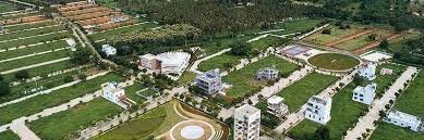 Century Seraya Plots