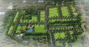 Century Seraya Plots
